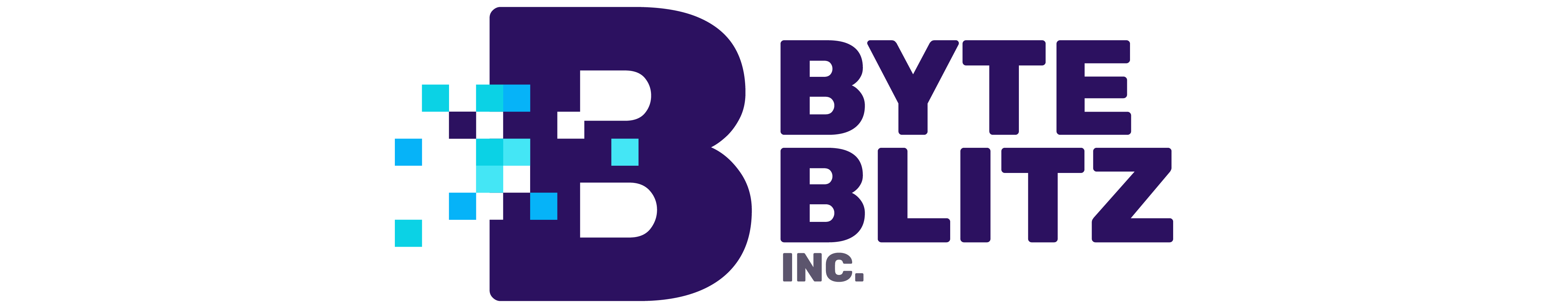 ByteBlitz Inc